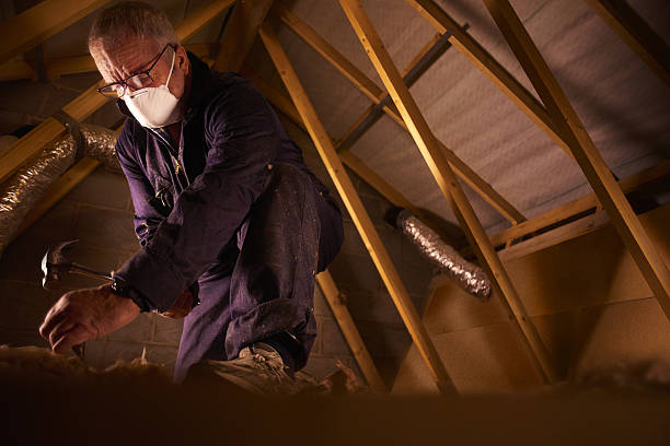 Best Residential Insulation in Miami Gardens, FL